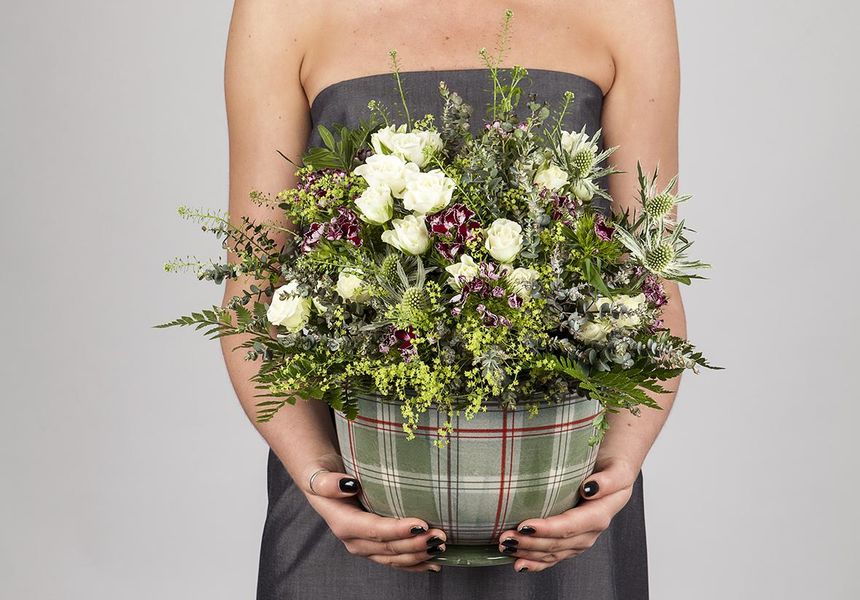 Exciting new collaboration with ANTA Scotland!