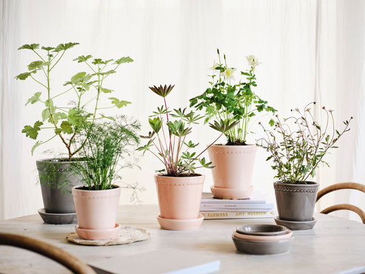 Bergs Potter Helena Glazed pink and grey pots