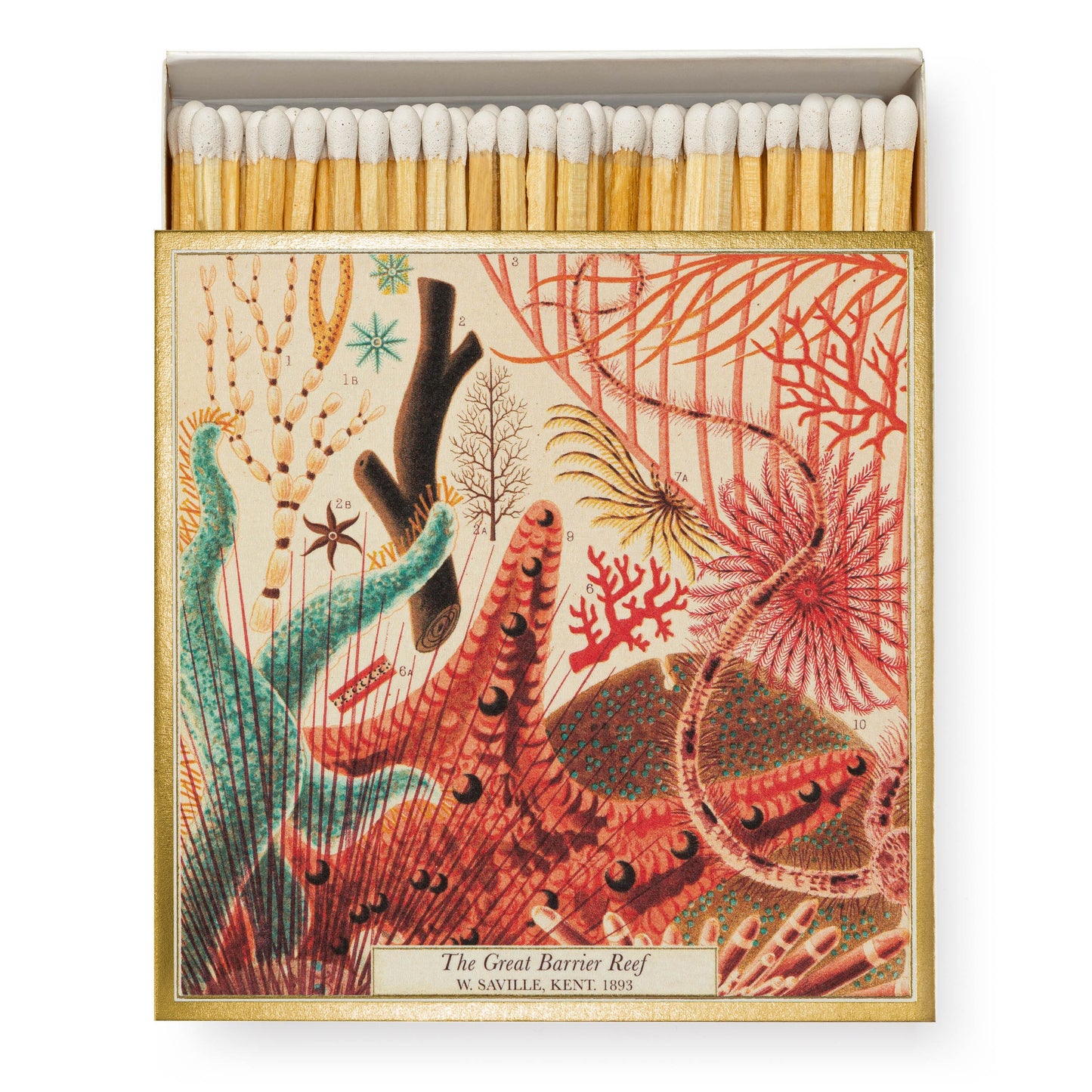 Archivist Gallery Luxury Matches