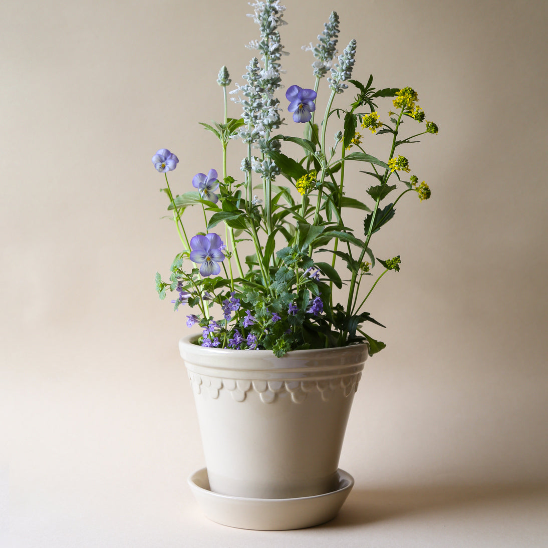 Copenhagen Pot & Saucer Glazed Sandstone
