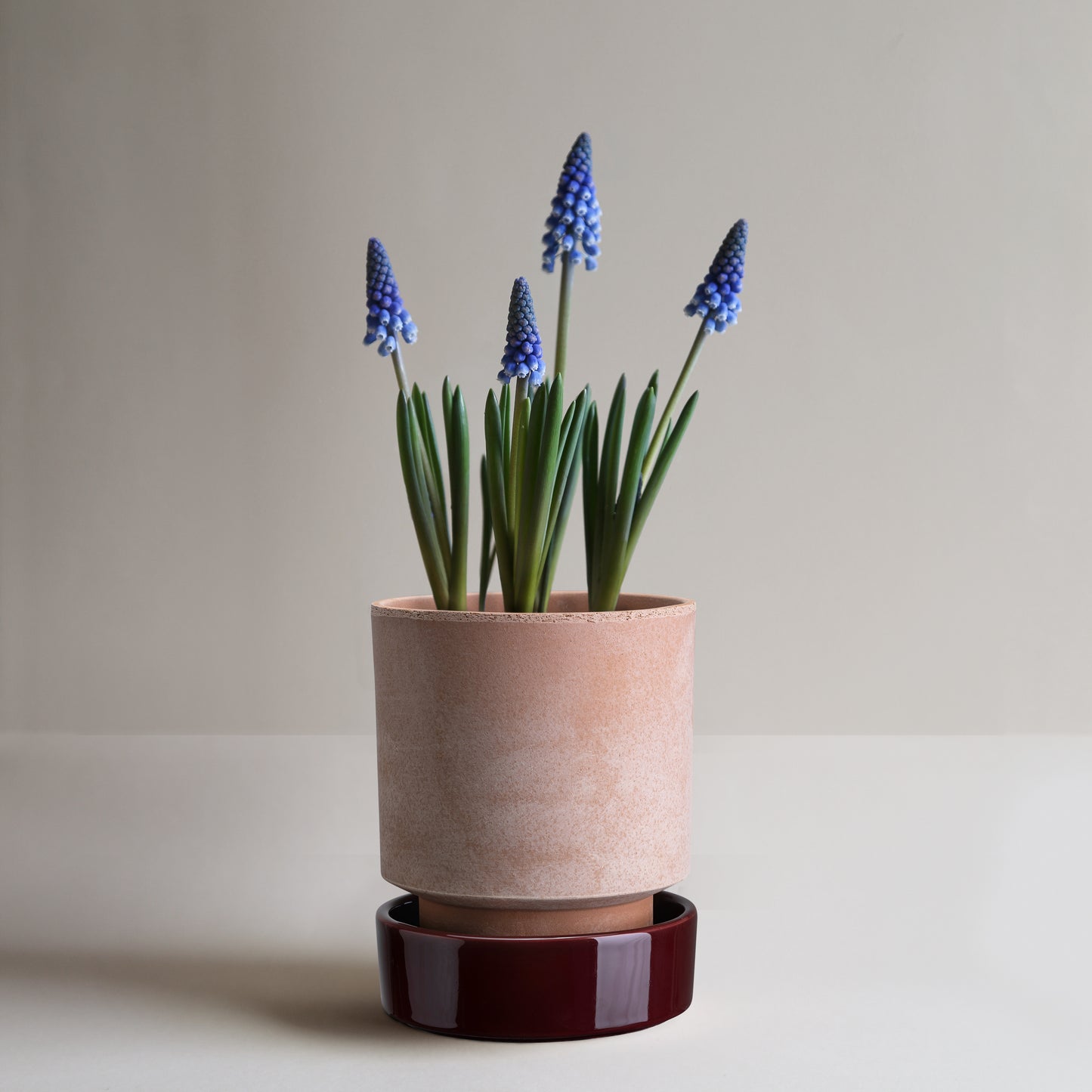 Hoff Pot & Saucer Rosa/Rusty Red