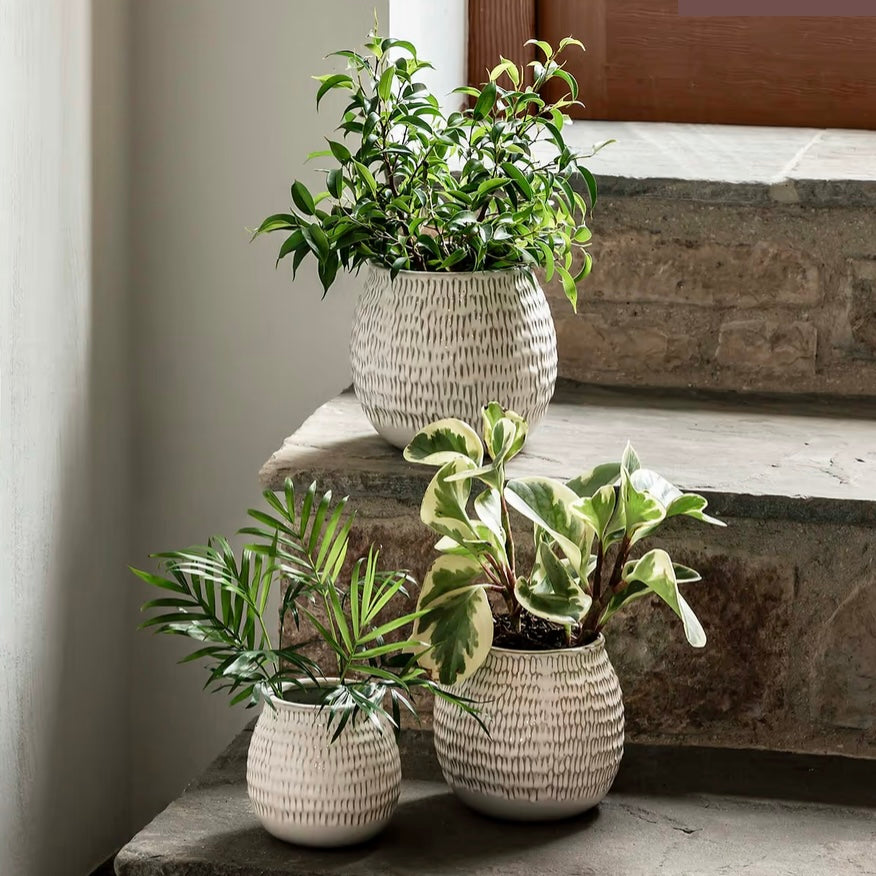 Winkleigh Plant Pots