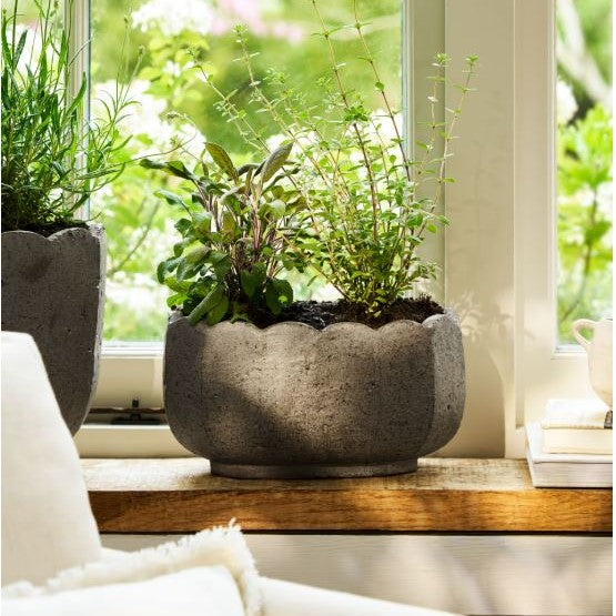 garden trading plant pots Lidstone Scallop Plant Pot Oval – Snapdragon Edinburgh
