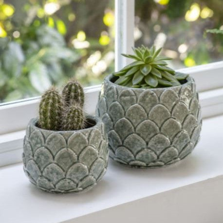 Artichoke Plant Pot Aqua