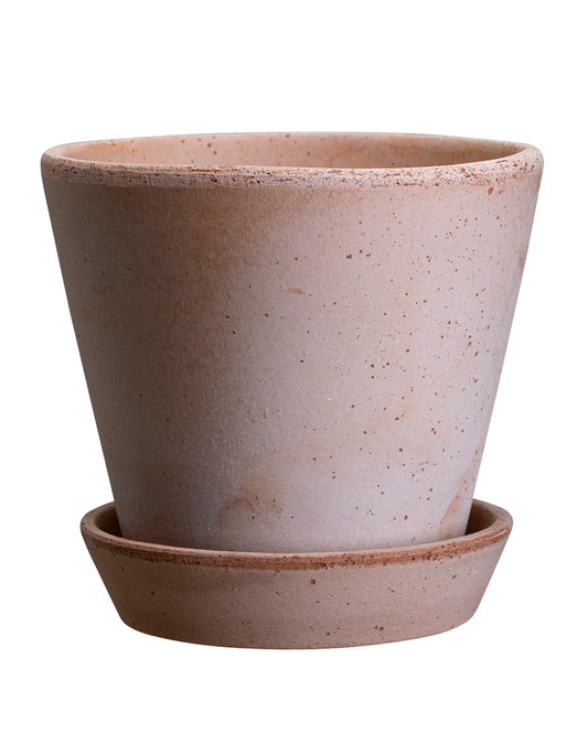 Julie Rosa Pot & Saucer