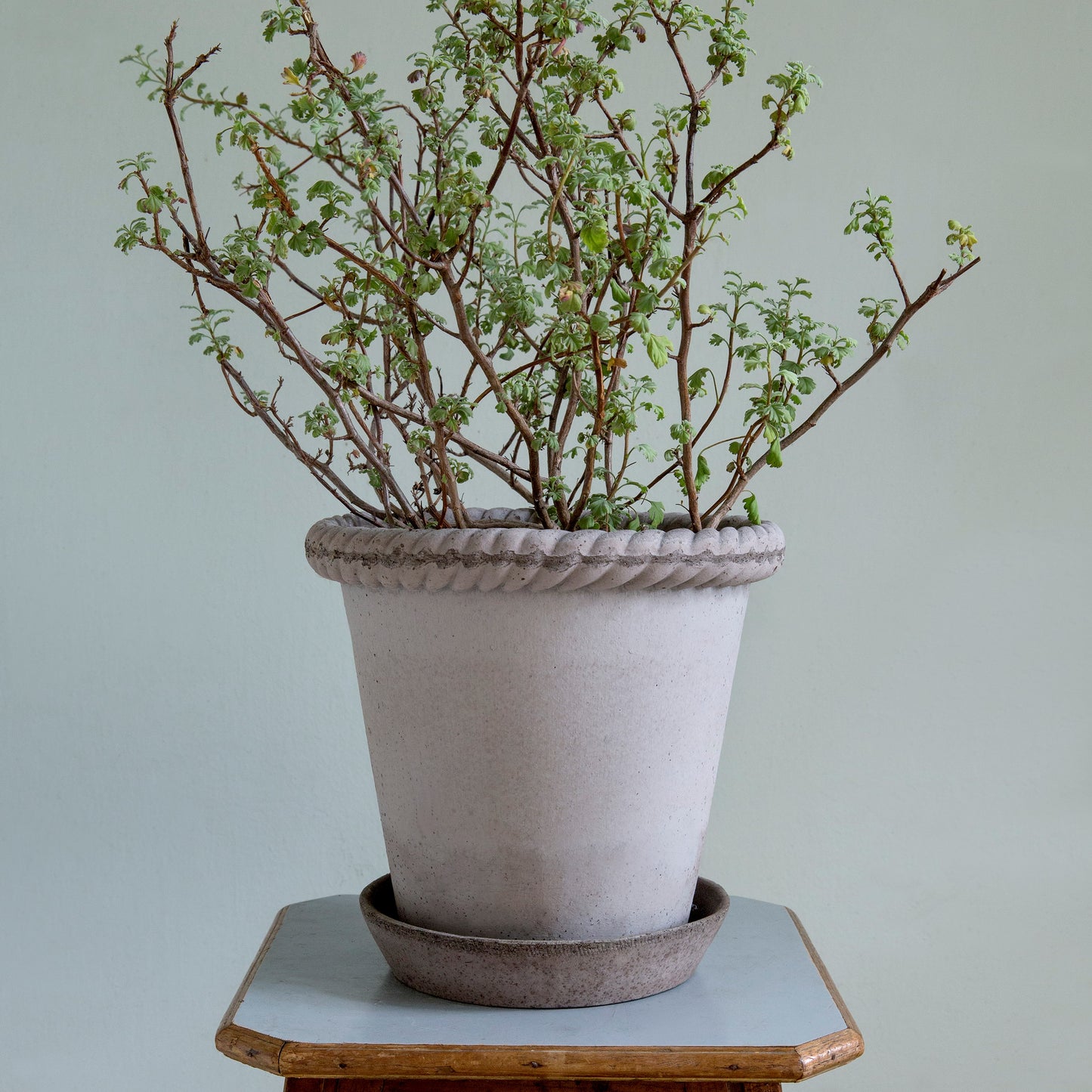 Emilia Pot & Saucer Grey