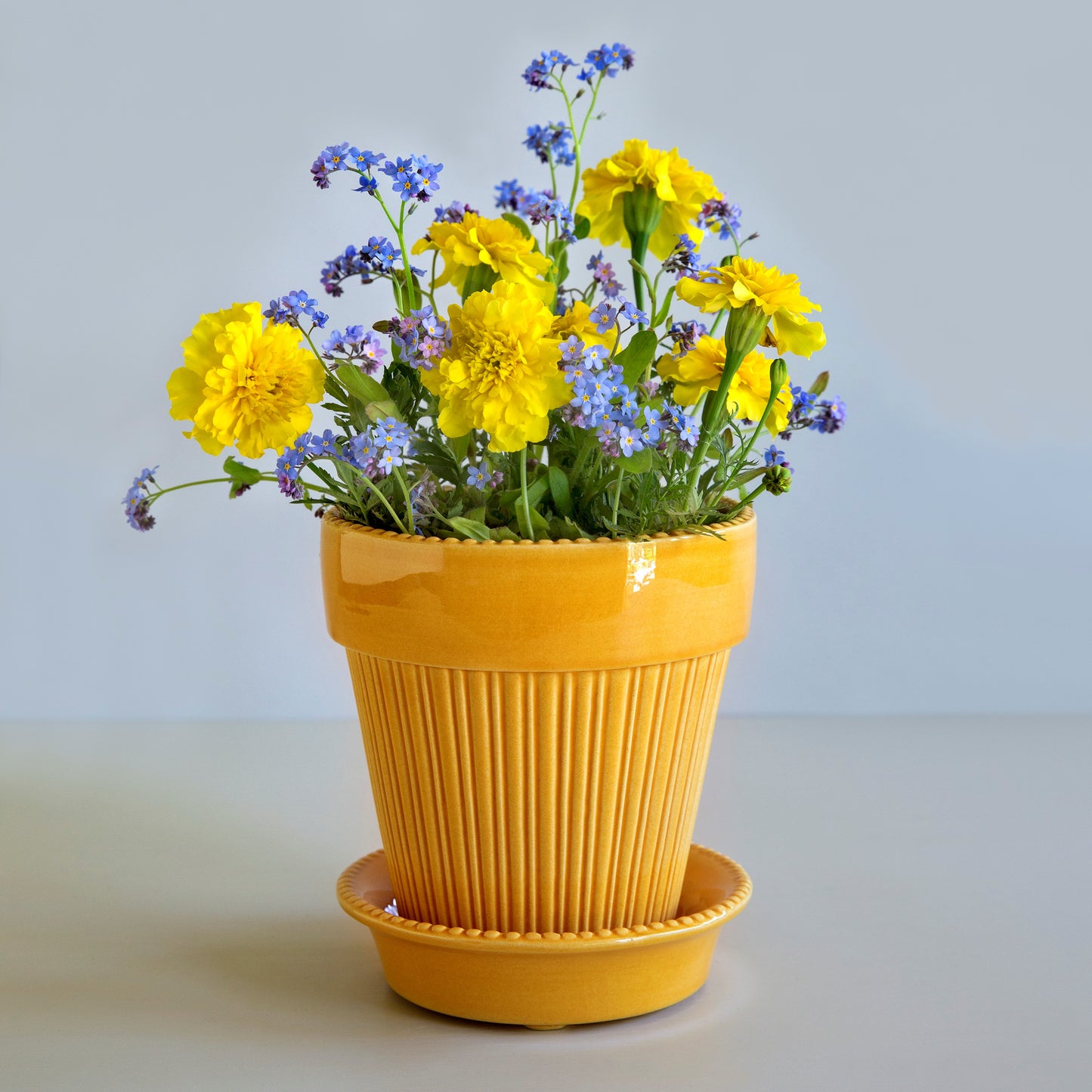 Simona Pot & Saucer Glazed Yellow Amber