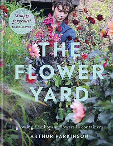 The Flower Yard - growing flamboyant flowers in containers