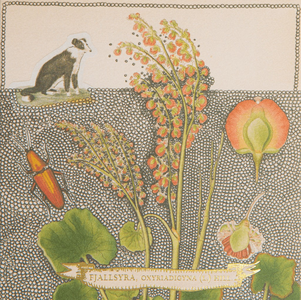 Archivist Gallery Luxury Matches