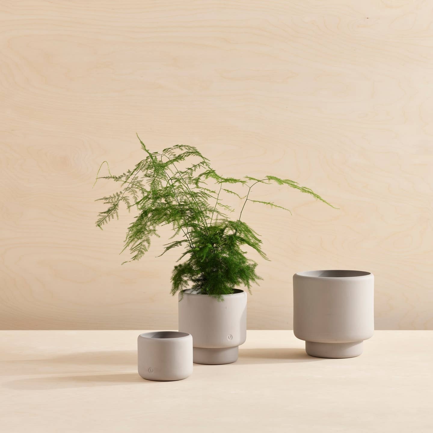 Aaron Probyn Botany Plant Pot grey