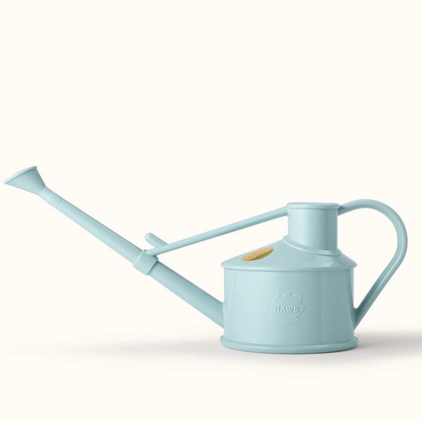 Langley Sprinkler Watering Can