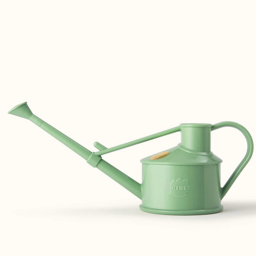 Langley Sprinkler Watering Can