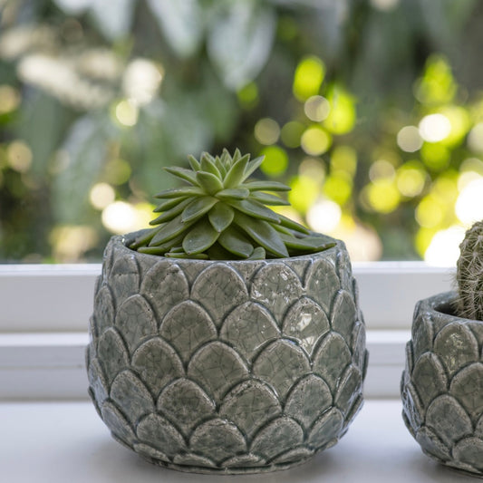 Artichoke Plant Pot Aqua