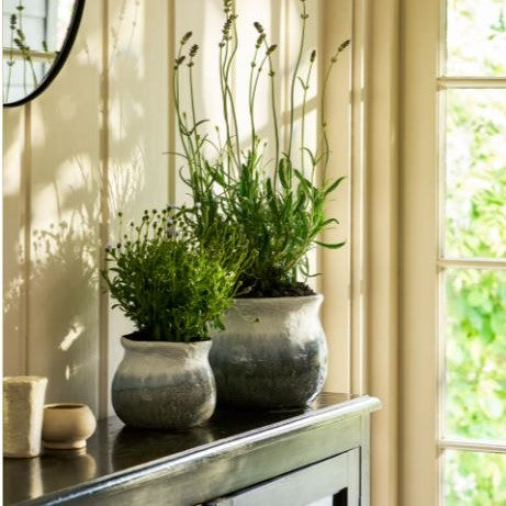 Marlston Pot