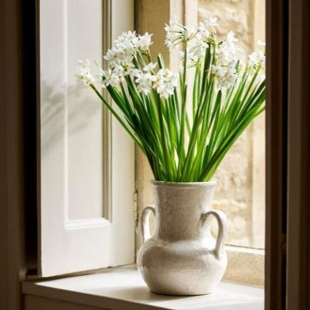 Ravello Vase with Handles large, amphora shape