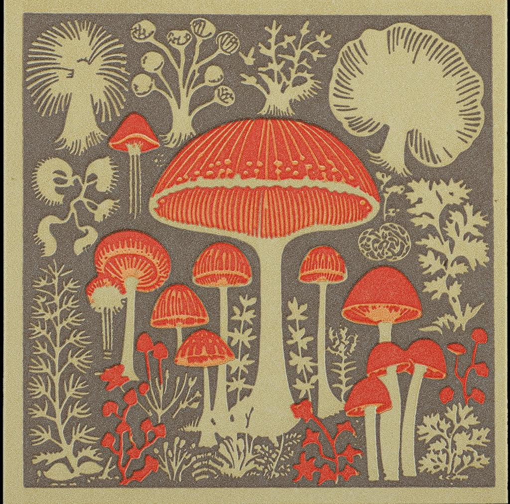 Archivist Gallery Luxury Matches