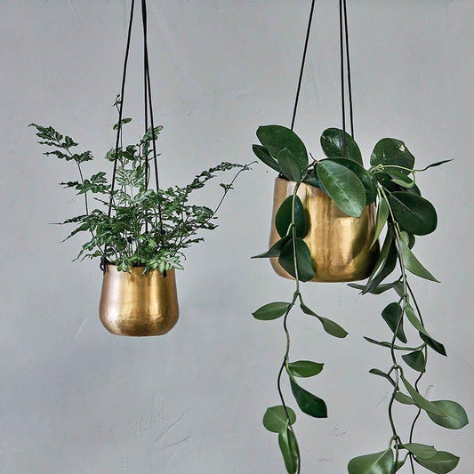 Atsu Brass Hanging Plant Pot