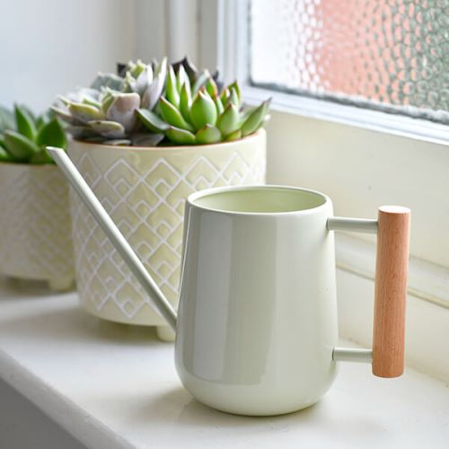 Pale Jade Enamel Indoor Watering Can