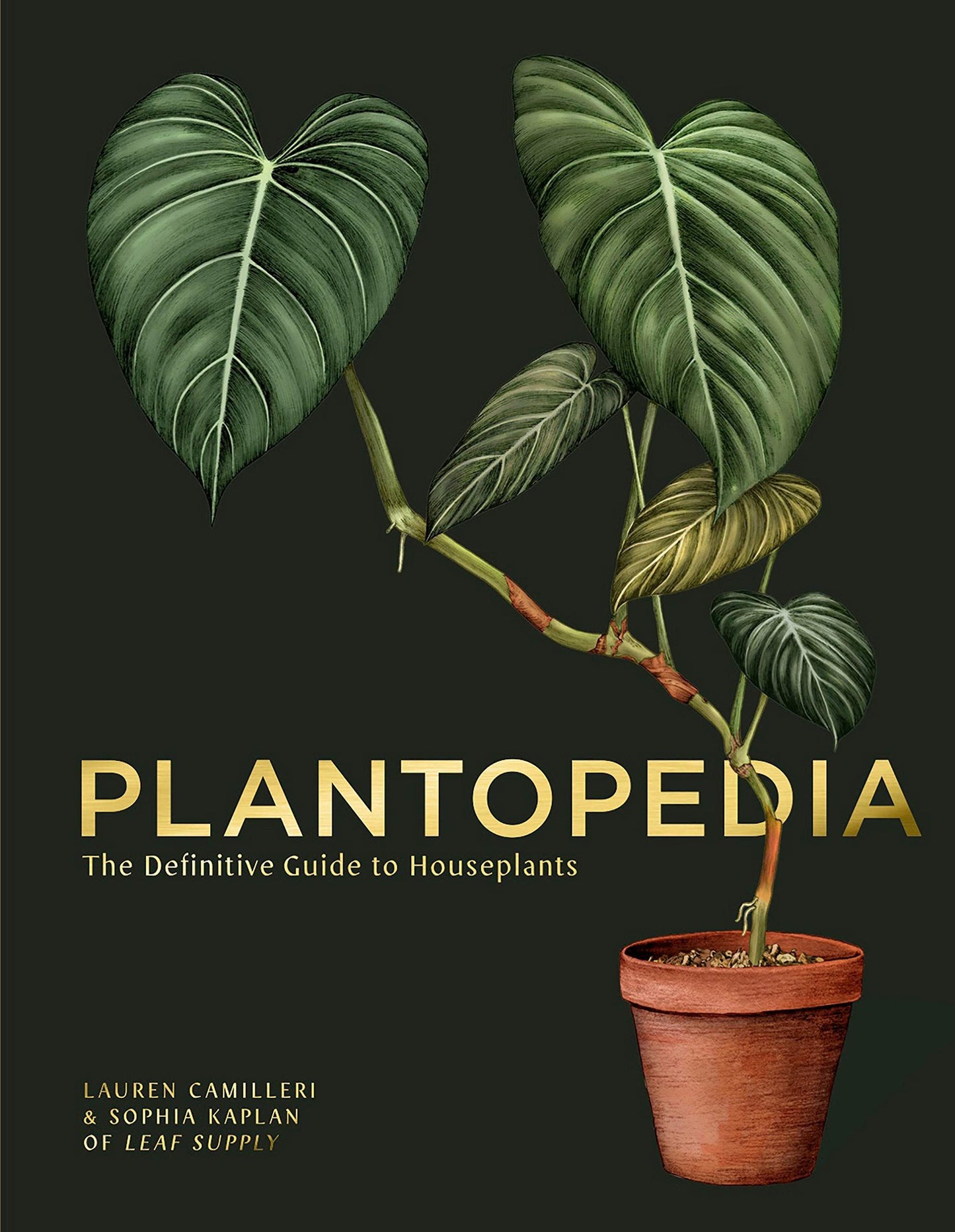 Plantopedia- The Definitive Guide to House Plants