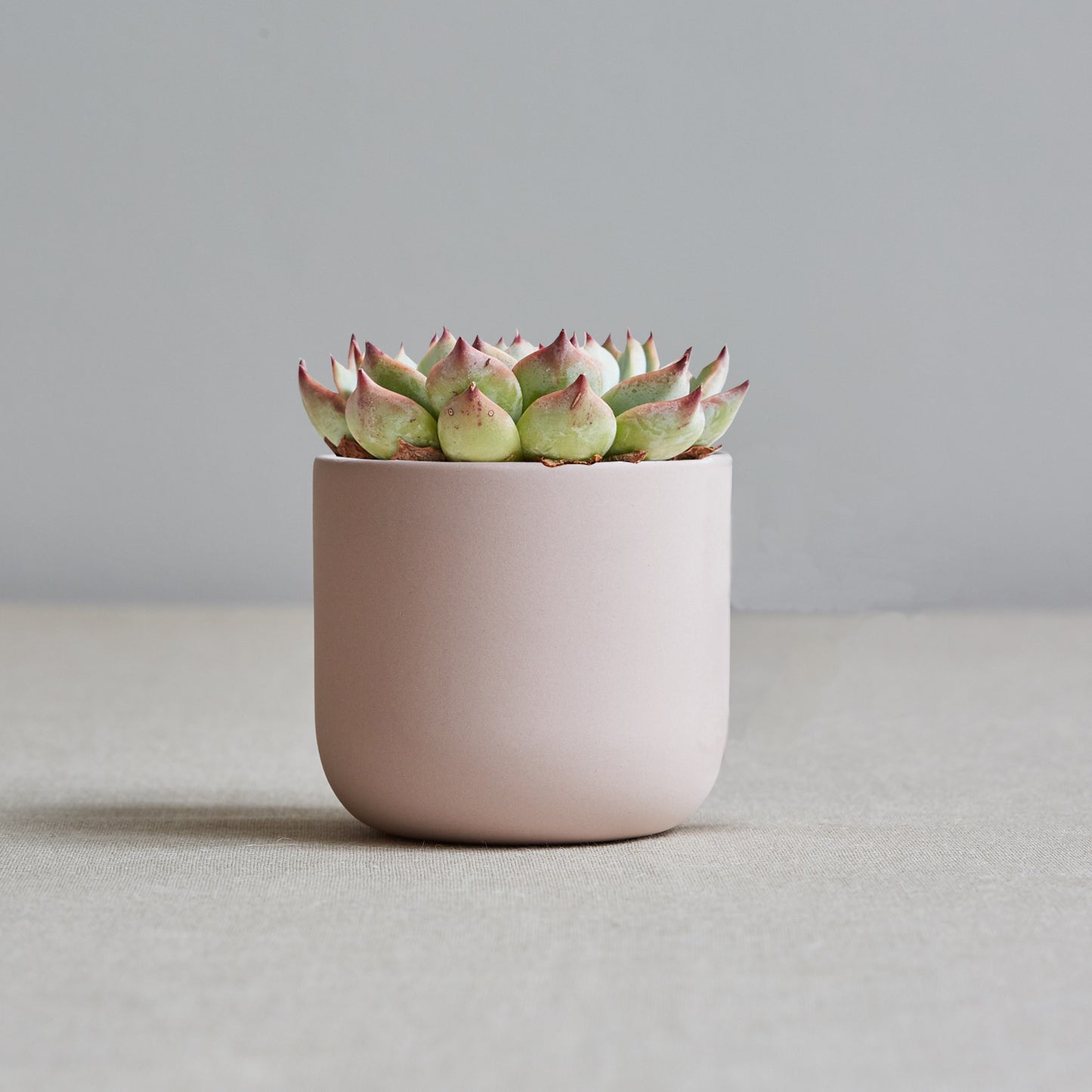 Plant Pot Porcelain Sue Pryke