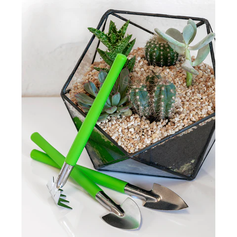 Houseplant tool set